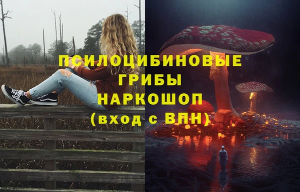 ГАЛЛЮЦИНОГЕННЫЕ ГРИБЫ Вязники